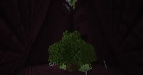 The Dungeon