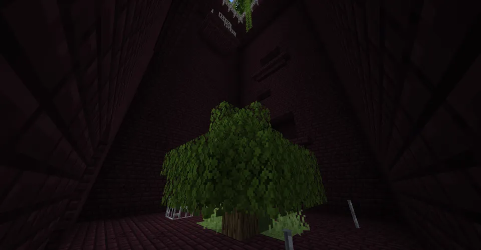 The Dungeon — Minecraft xarita, rasm 3