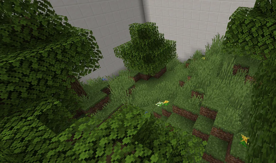Practicum Laboratorie — Minecraft xarita, rasm 8