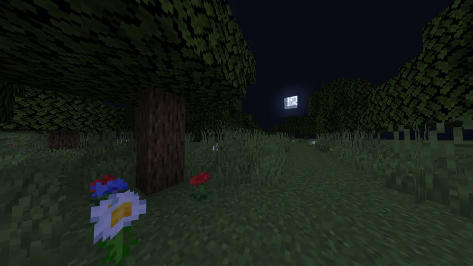 Qorong'ulikda — Minecraft xarita, rasm 4