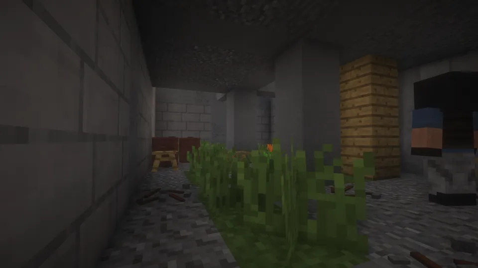Operatsiya "Yutib olish" — Minecraft xarita, rasm 6