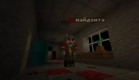 Nimaydzita