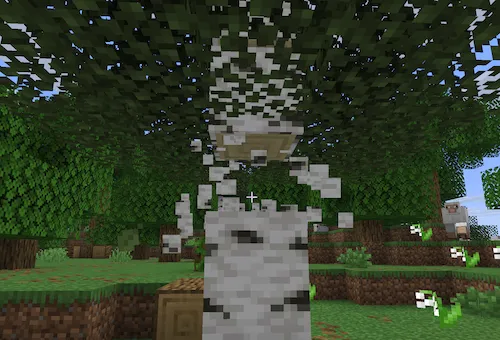Falling Down — Minecraft mod, rasm 1