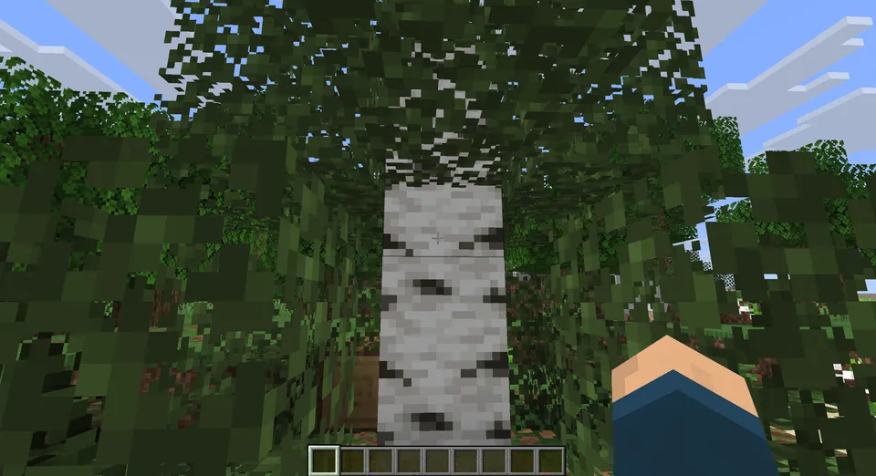Falling Down — Minecraft mod, rasm 4