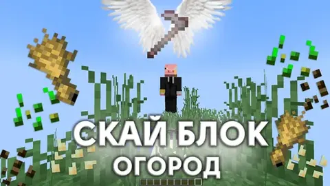 Tomorqa bilan Skyblock