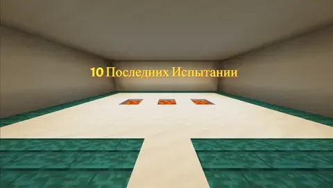 10 ta so'nggi sinov