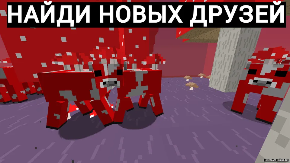 ProstoVlad'dan doiralarda omon qolish — Minecraft xarita, rasm 3