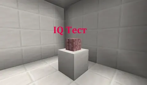 Mantiq uchun IQ test