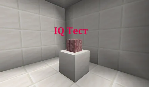 Mantiq uchun IQ test — Minecraft xarita, rasm 1