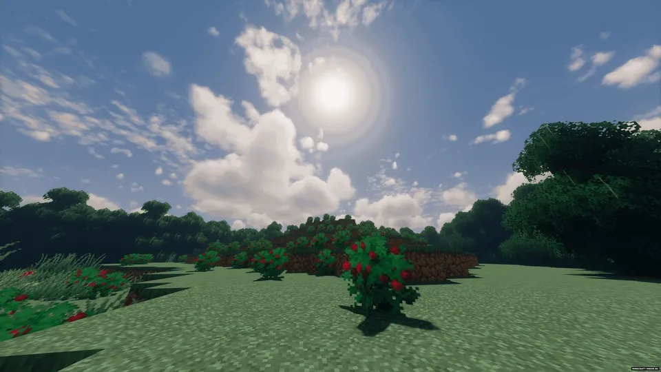 Kirovo qishlog'i — Minecraft xarita, rasm 5