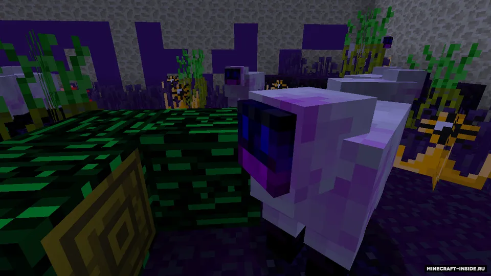 EnderBoxSurvive: Insanity — Minecraft xarita, rasm 5