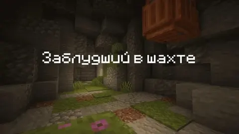 Shaxtada adashgan