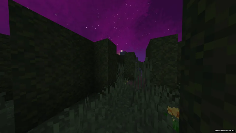 Yo'qolgan bog' — Minecraft xarita, rasm 3