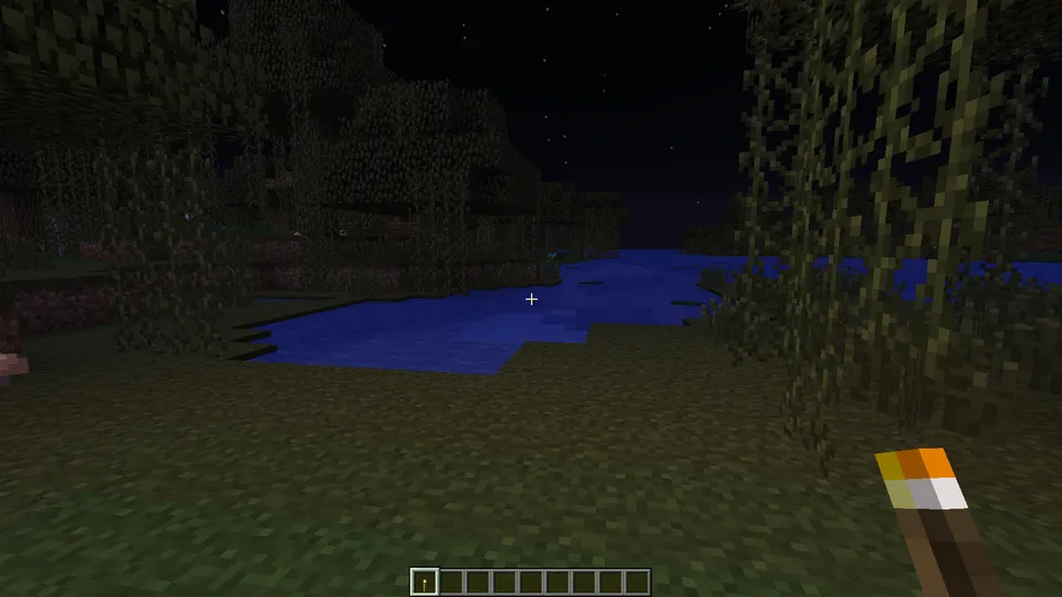 Client Dynamic Light — Minecraft mod, rasm 2