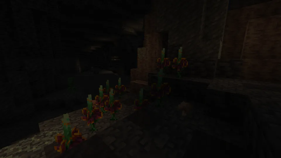 Dungeons Delight — Minecraft mod, rasm 5
