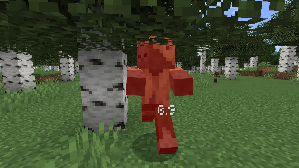 Damage & Status Indicator — Minecraft mod, rasm 3