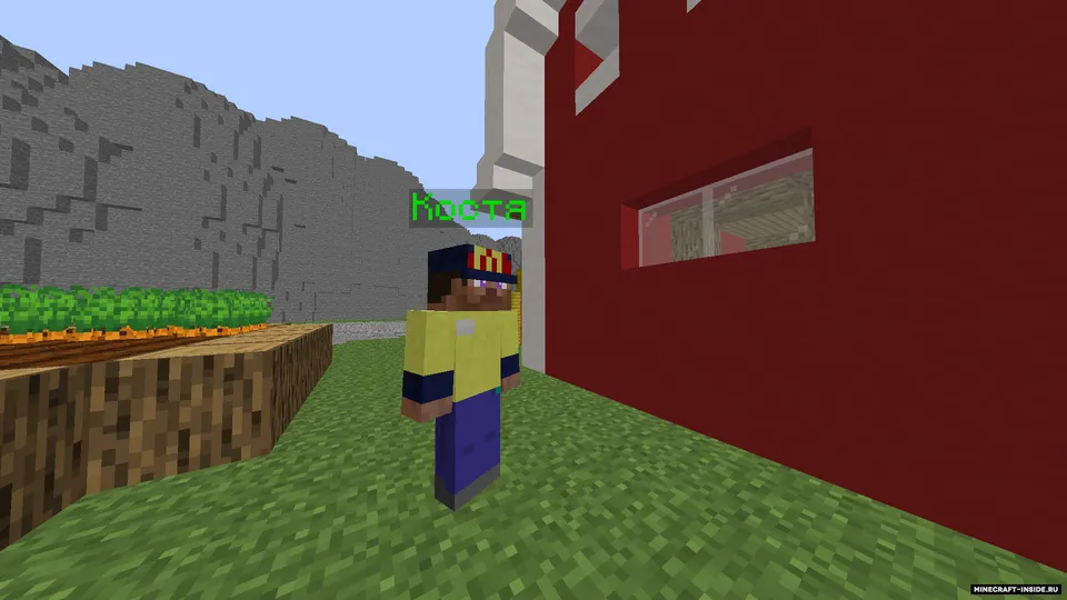 Fermer simulyatori — Minecraft xarita, rasm 7