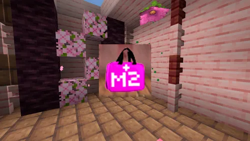 Medication 2 — Minecraft xarita, rasm 1