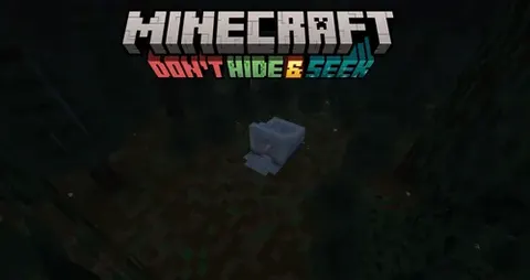 Don't Hide & Seek