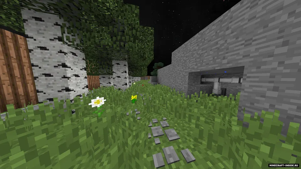 Kichik uchastka — Minecraft xarita, rasm 5