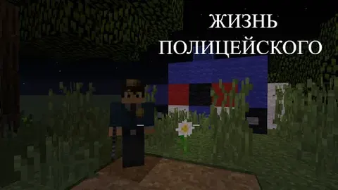 Politsiyachi hayoti