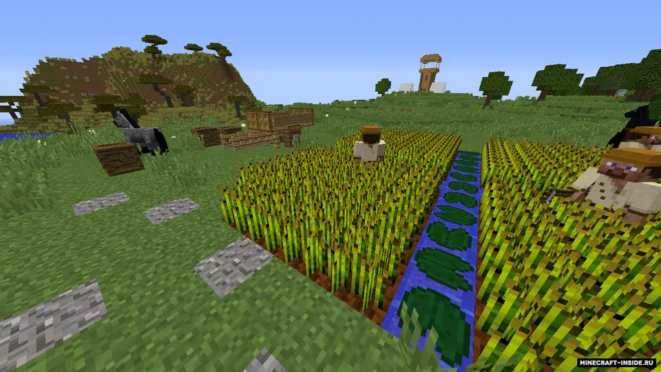 Ong — Minecraft xarita, rasm 2
