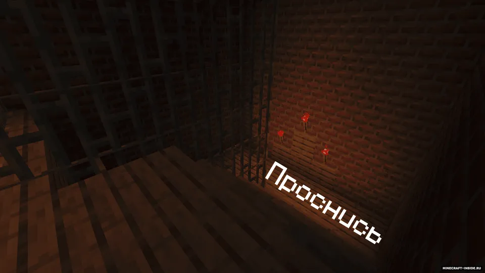 Project D — Minecraft xarita, rasm 2