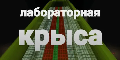 Laboratoriya sichqoni
