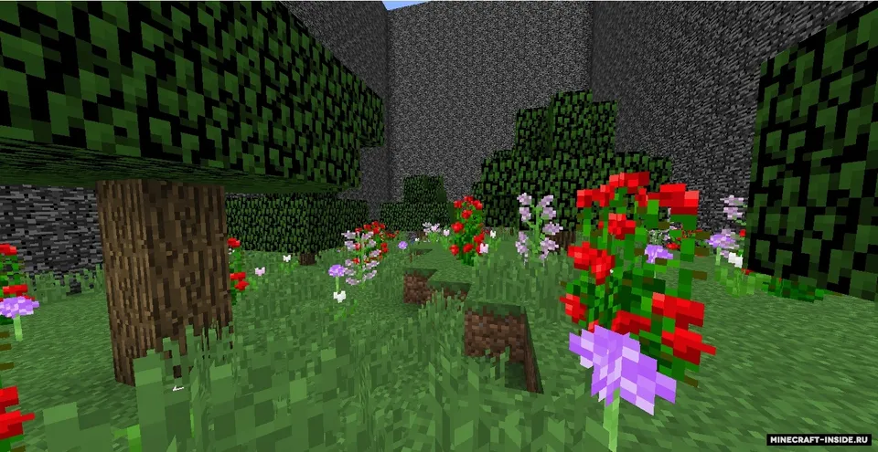The 7 biomes 2 — Minecraft xarita, rasm 4