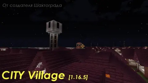 CITY Village