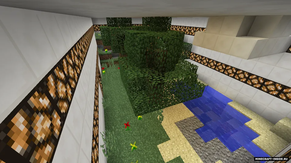 Ruina — Minecraft xarita, rasm 8
