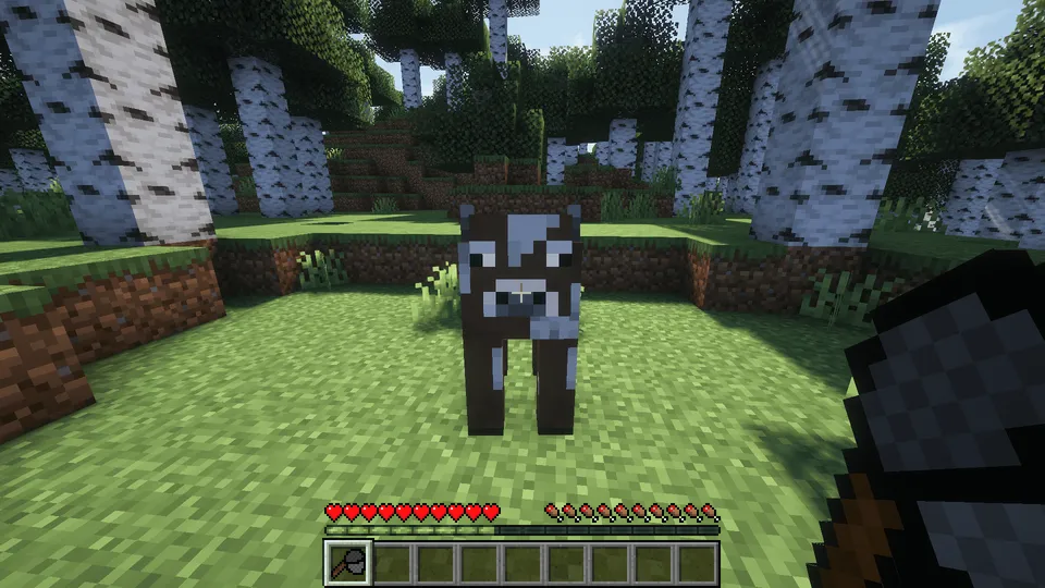 Mob Net — Minecraft mod, rasm 2