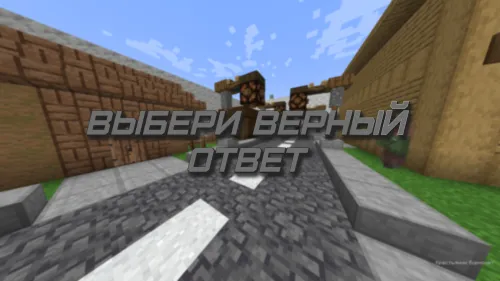 To'g'ri javobni tanla! — Minecraft xarita, rasm 1