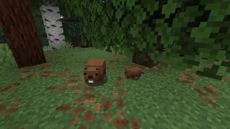 Canadian Content — Minecraft mod, rasm 2