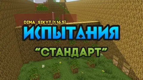 Dima_SikYT'dan "Standart" sinovlari
