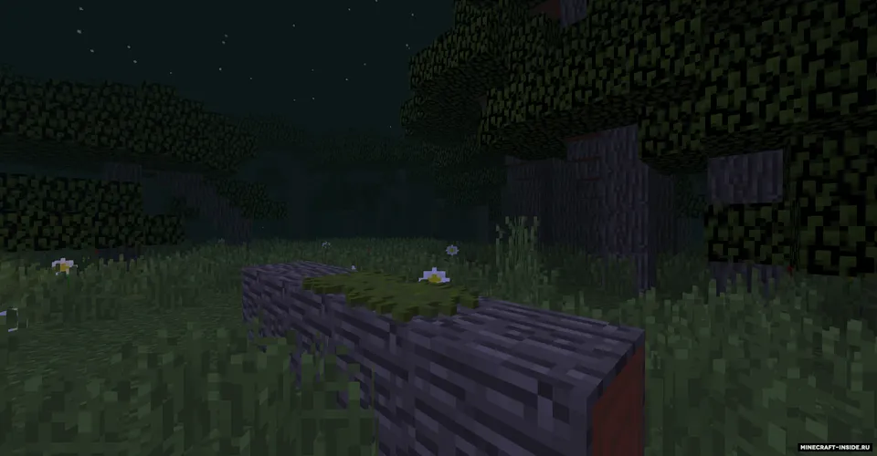 Home sweet home — Minecraft xarita, rasm 3