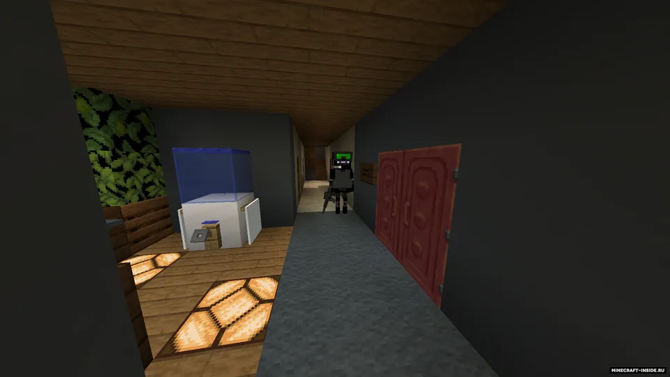 DisRepute — Minecraft xarita, rasm 2
