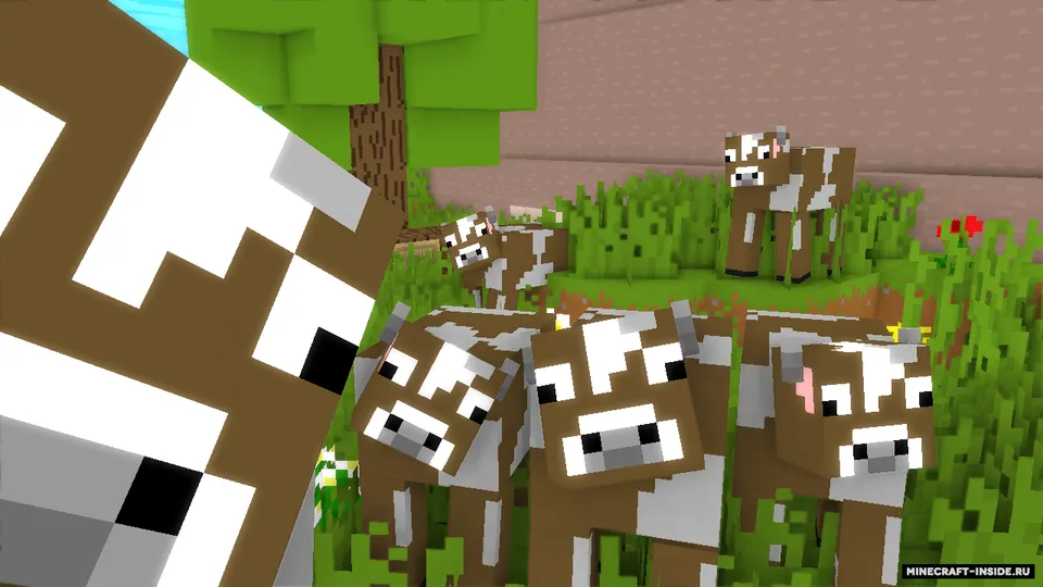 CartonBoxSurvive — Minecraft xarita, rasm 4