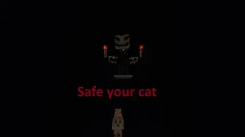 Safe your cat