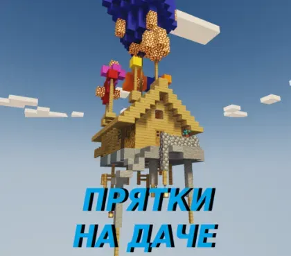Dachadagi quvlashmachoq