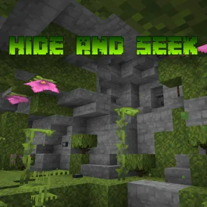 VASS Hide And Seek