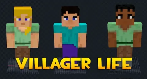 Villager Life