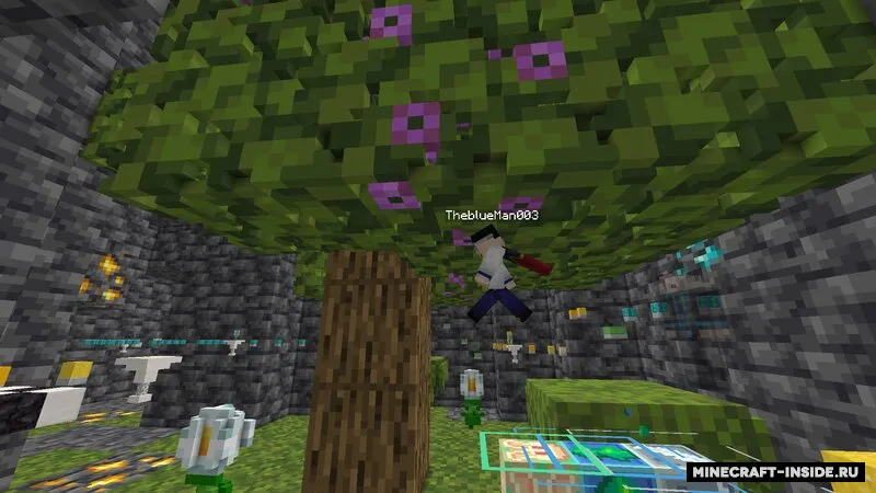 Race For The Crown — Minecraft xarita, rasm 4