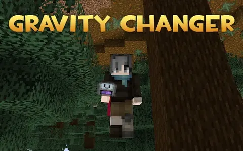 Gravity Changer Unofficial Port