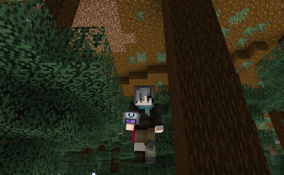 Gravity Changer Unofficial Port — Minecraft mod, rasm 3