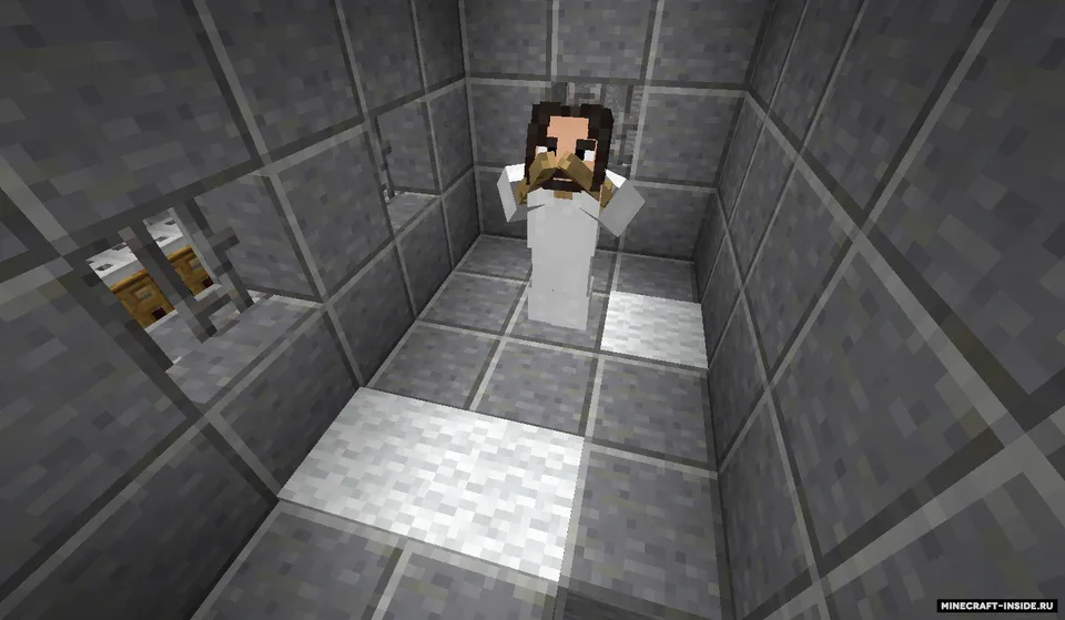 Hayot darajalari — Minecraft xarita, rasm 4