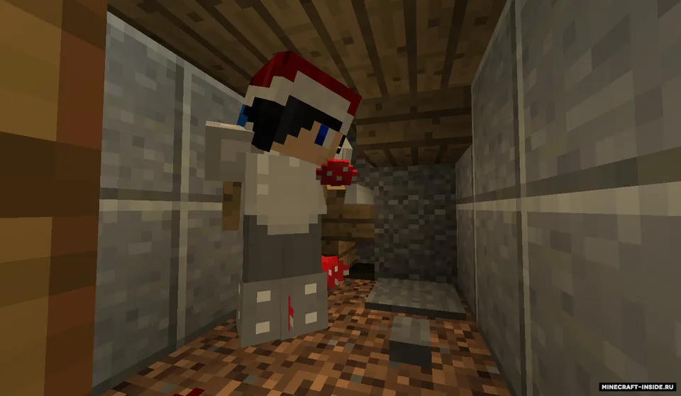 Hayot darajalari — Minecraft xarita, rasm 6