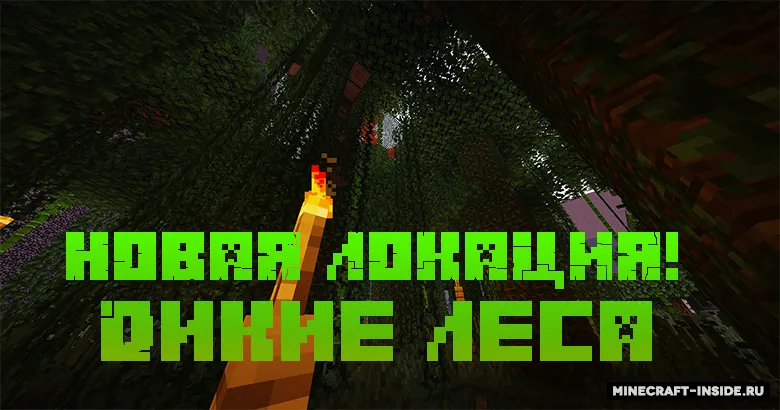 Sinflar jangi — Minecraft xarita, rasm 2