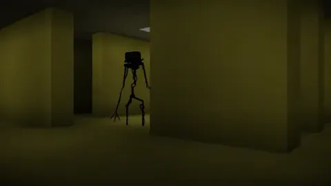 The Backrooms (Found Footage)