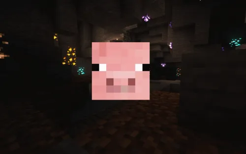 Cho'chqalar isyoni — Minecraft xarita, rasm 1
